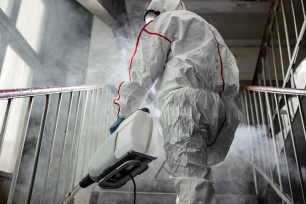 Best Attic Mold Removal  in Adwolf, VA